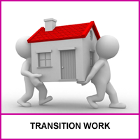 We Support Transition Work