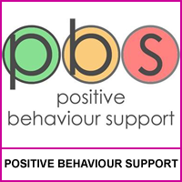 Positive Behaviour Support at We Support